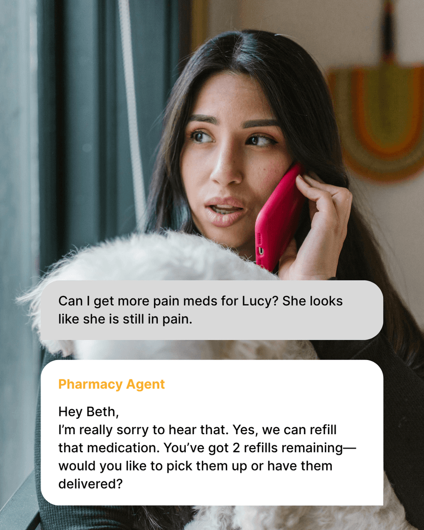 Pharmacy Agent in Action