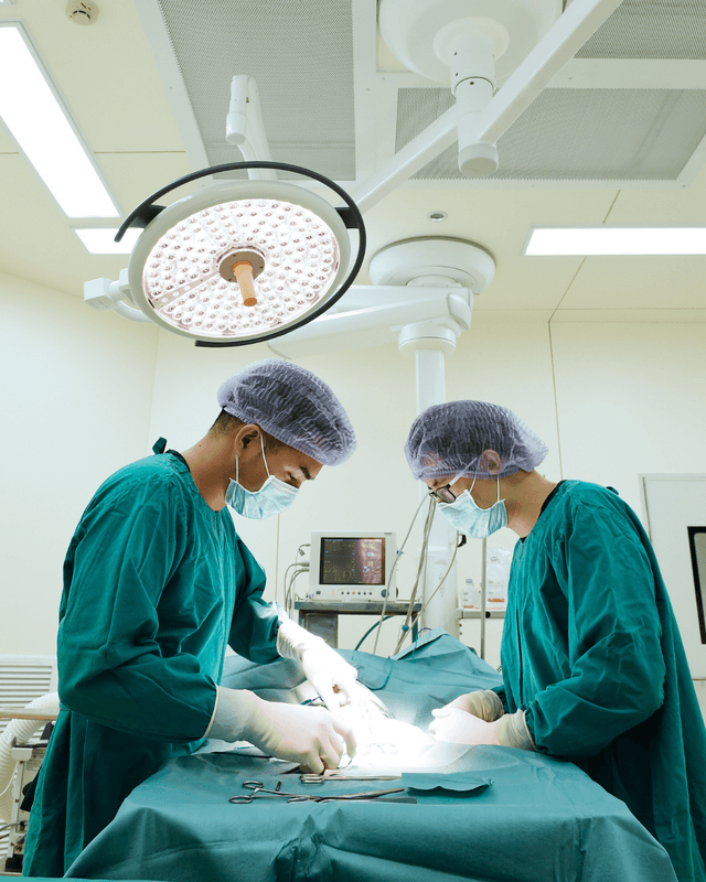 Veterinary Practice - Scheduling Interface